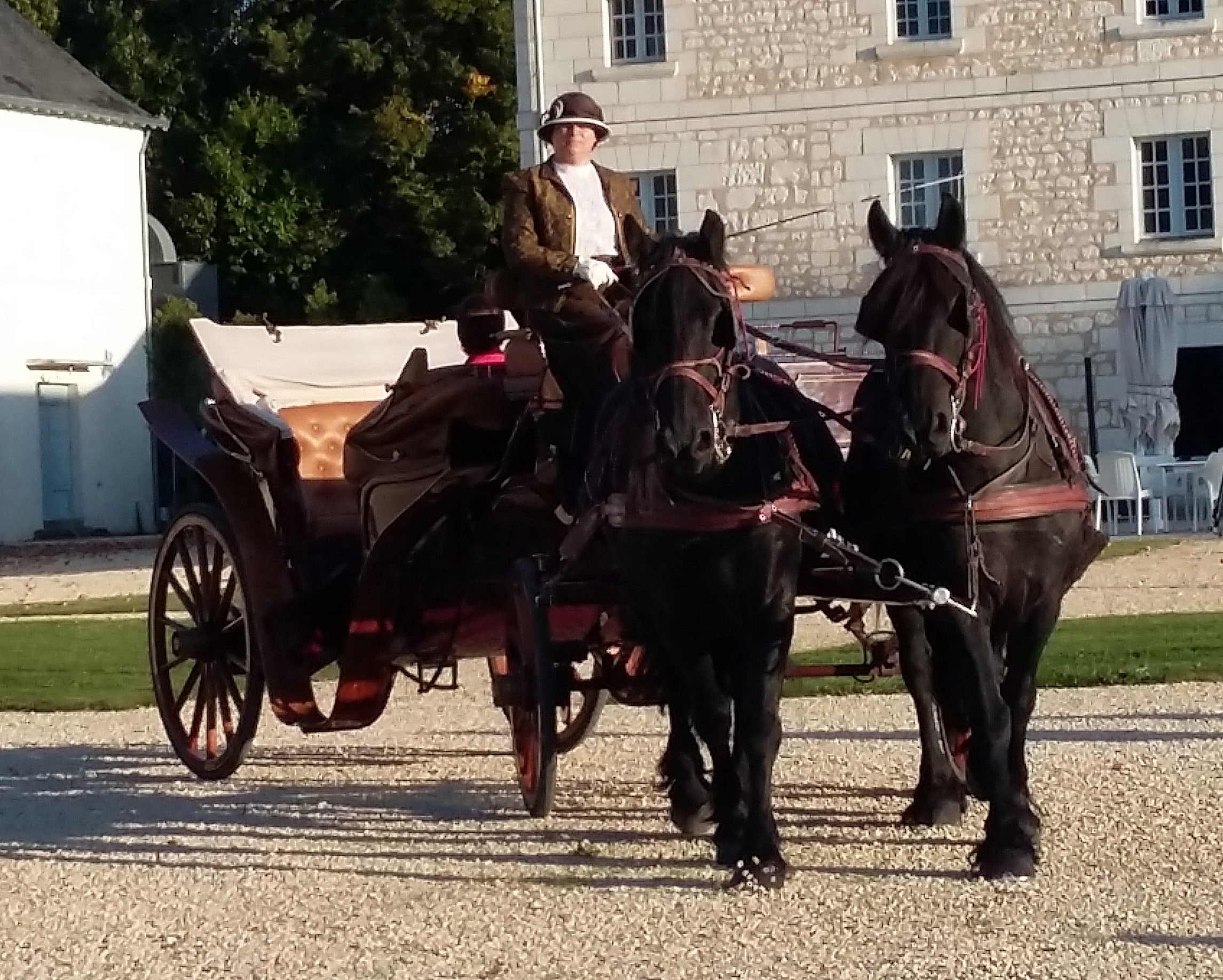 Location de calèches pour vous faire rêver