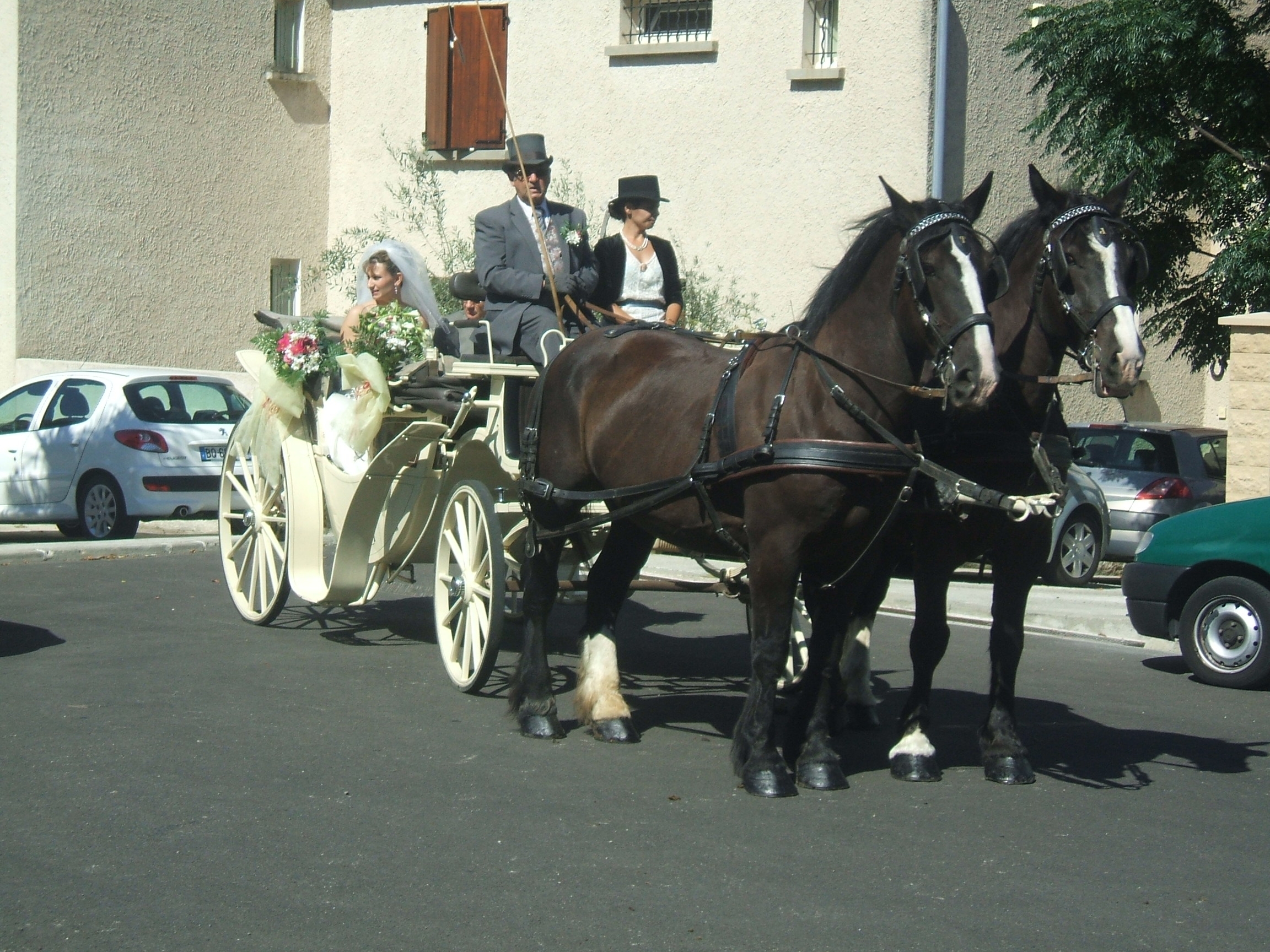 Location de calèche, cocher, mariage