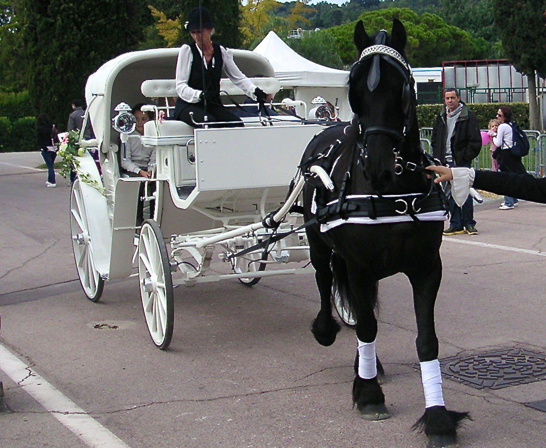 Comment rendre votre mariage inoubliable et unique ? Pour vous accompagner lors de cette journée exceptionnelle, les Calèches d'Antipolis vous proposent une calèche afin de rendre votre mariage digne d’un conte de fée. venez-nous rencontrer sur www.lescalechesdantipolis.fr