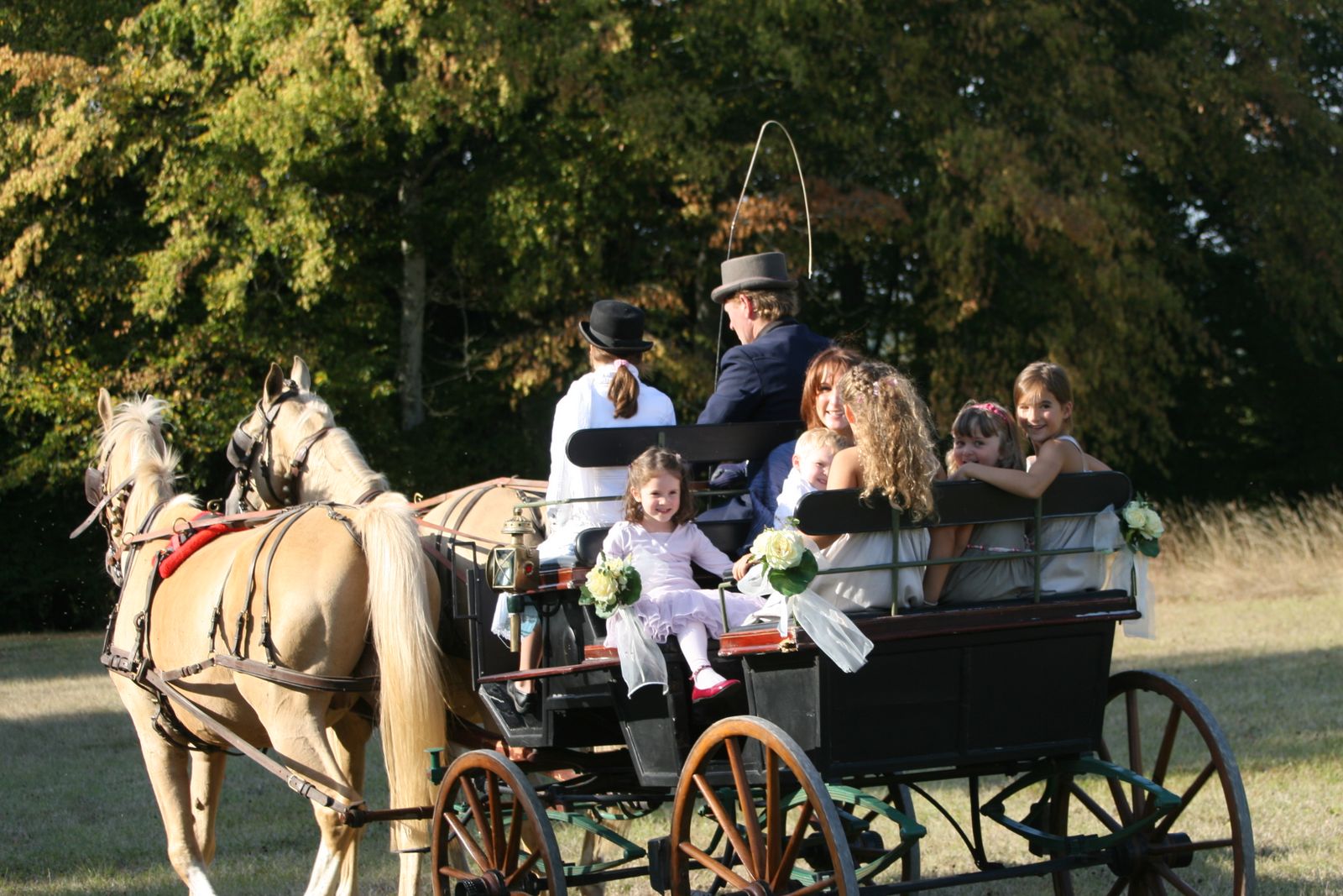 Calèches et chevaux, cocher professionnel pour un mariage inoubliable!