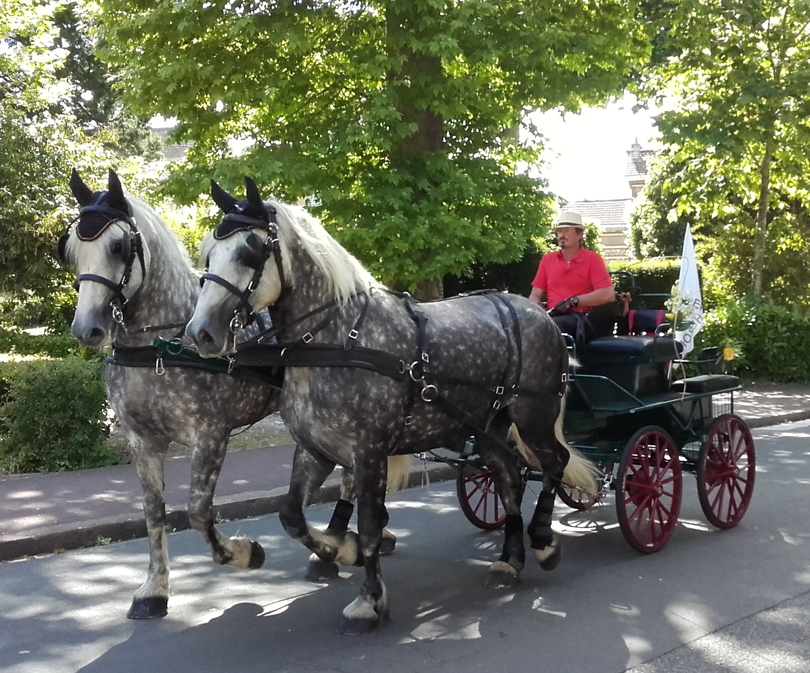 Location de calèche pour mariage et autres animations (anniversaire, fête,...)