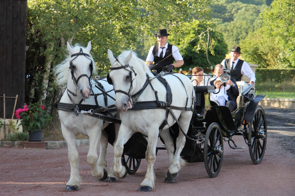 location de calèche : cendrillon d'un jour !!!!