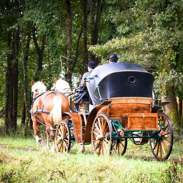 Mariage, promenade romantique, événementiel