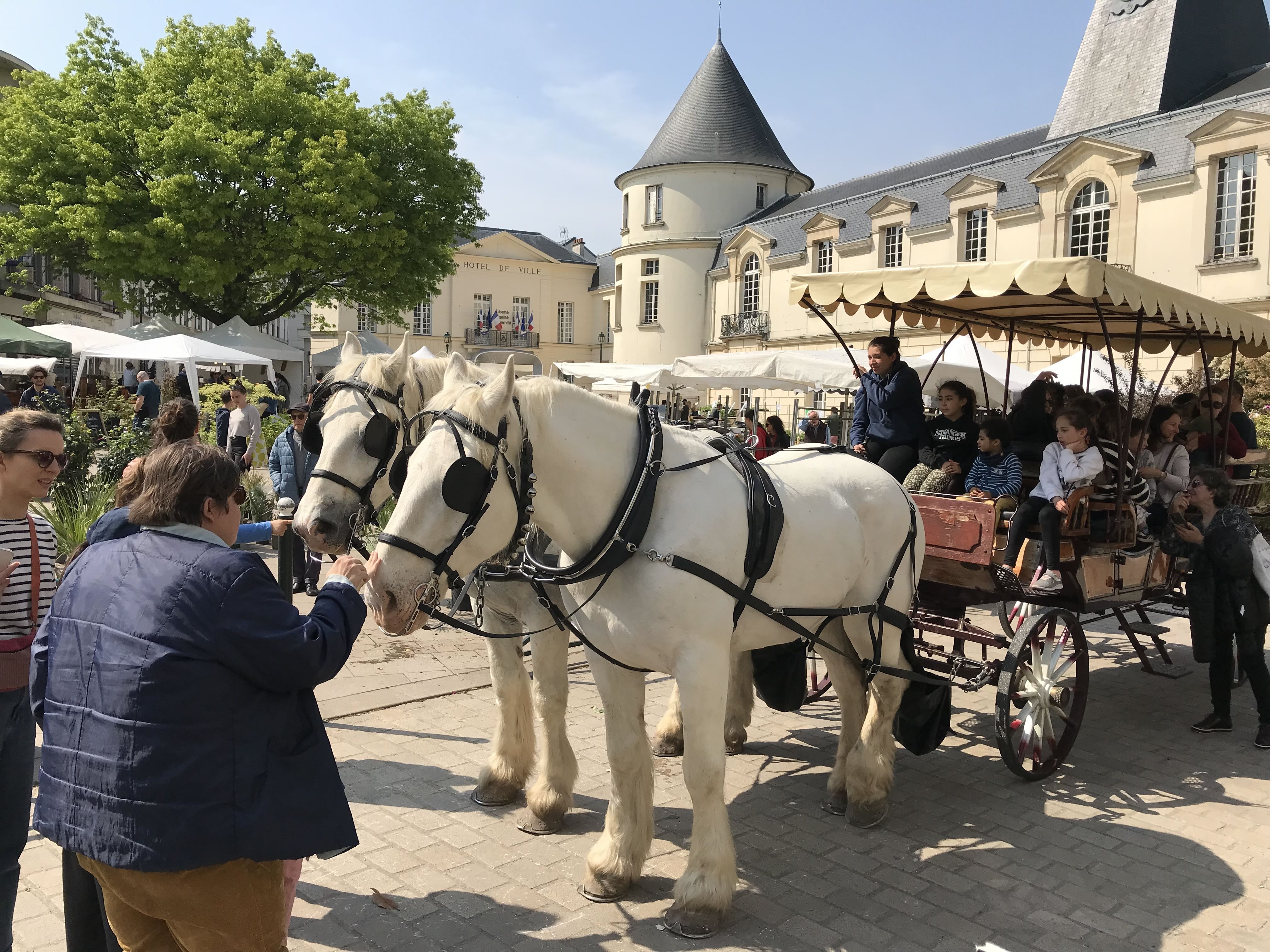 VOTRE BALADE EN CALECHE OU VOTRE MARIAGE